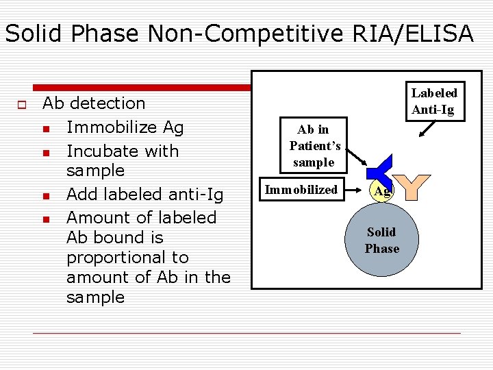 Solid Phase Non-Competitive RIA/ELISA o Ab detection n Immobilize Ag n Incubate with sample