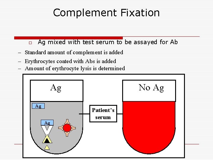 Complement Fixation o Ag mixed with test serum to be assayed for Ab –
