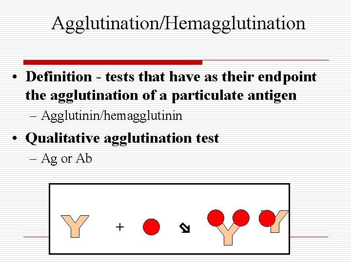 Agglutination/Hemagglutination • Definition - tests that have as their endpoint the agglutination of a