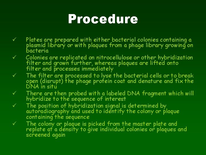 Procedure ü ü ü Plates are prepared with either bacterial colonies containing a plasmid