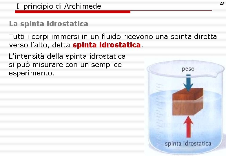Il principio di Archimede 23 La spinta idrostatica Tutti i corpi immersi in un