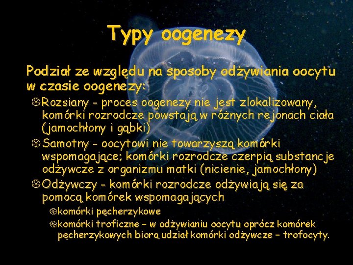 Typy oogenezy Podział ze względu na sposoby odżywiania oocytu w czasie oogenezy: {Rozsiany -