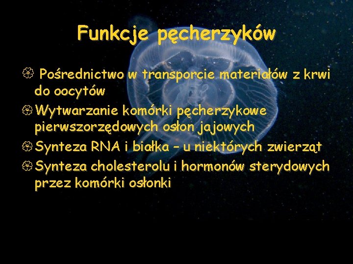 Funkcje pęcherzyków { Pośrednictwo w transporcie materiałów z krwi do oocytów { Wytwarzanie komórki
