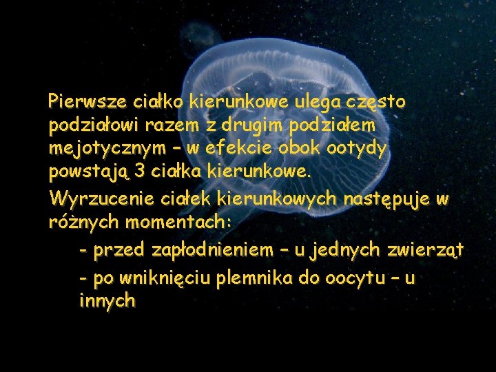 Pierwsze ciałko kierunkowe ulega często podziałowi razem z drugim podziałem mejotycznym – w efekcie