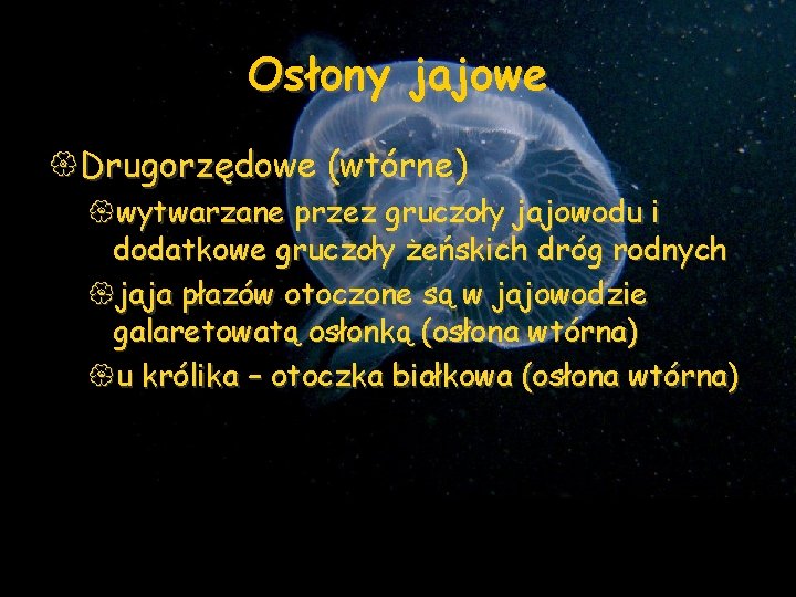 Osłony jajowe {Drugorzędowe (wtórne) {wytwarzane przez gruczoły jajowodu i dodatkowe gruczoły żeńskich dróg rodnych