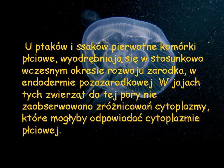 U ptaków i ssaków pierwotne komórki płciowe, wyodrębniają się w stosunkowo wczesnym okresie rozwoju
