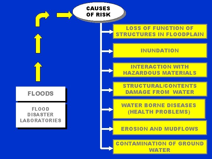 CAUSES OF RISK LOSS OF FUNCTION OF STRUCTURES IN FLOODPLAIN INUNDATION INTERACTION WITH HAZARDOUS