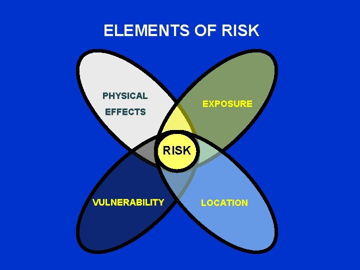 ELEMENTS OF RISK PHYSICAL EXPOSURE EFFECTS RISK VULNERABILITY LOCATION 