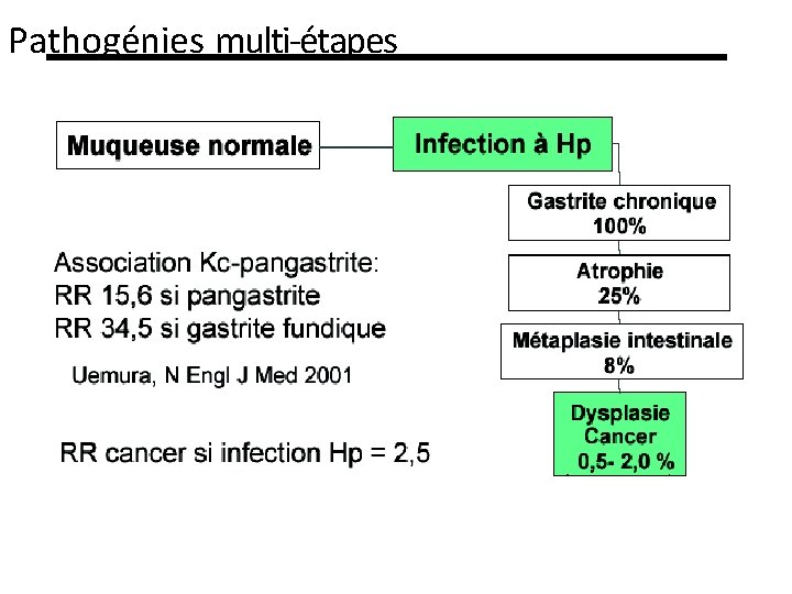 Pathogénies multi‐étapes 