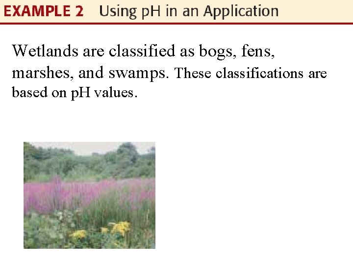 Wetlands are classified as bogs, fens, marshes, and swamps. These classifications are based on