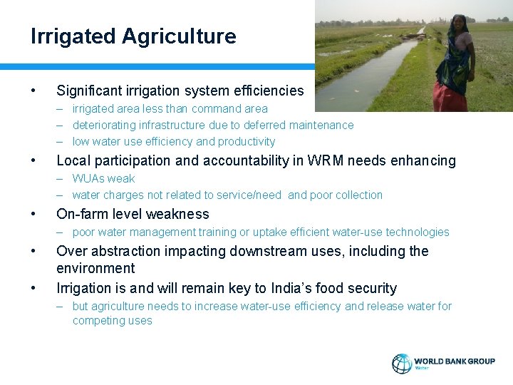 Irrigated Agriculture • Significant irrigation system efficiencies – irrigated area less than command area