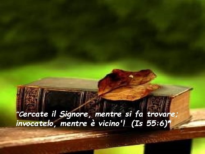 ”Cercate il Signore, mentre si fa trovare; invocatelo, mentre è vicino'! (Is 55: 6)*