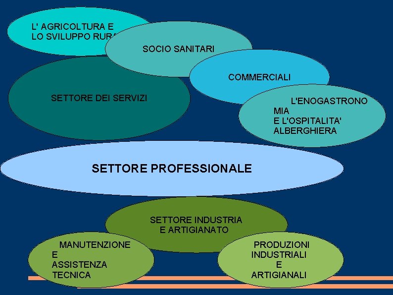 L' AGRICOLTURA E LO SVILUPPO RURALE SOCIO SANITARI COMMERCIALI SETTORE DEI SERVIZI L'ENOGASTRONO MIA