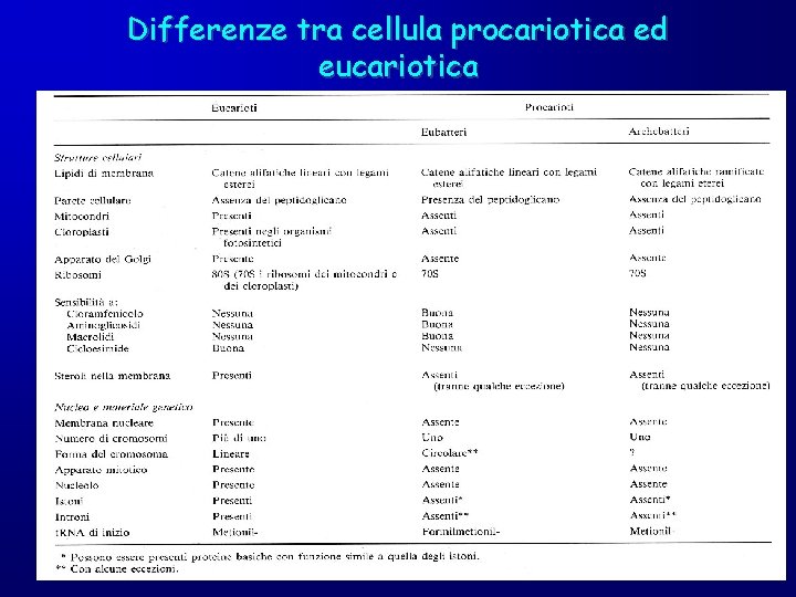 Differenze tra cellula procariotica ed eucariotica 