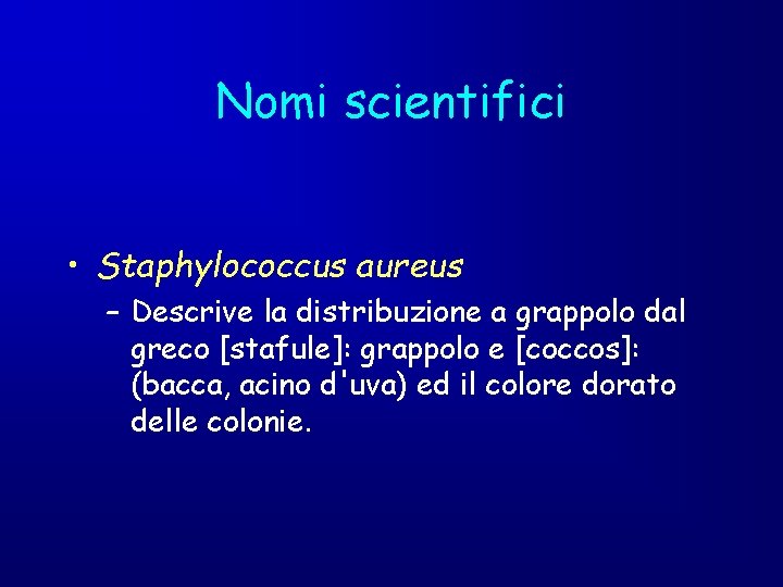 Nomi scientifici • Staphylococcus aureus – Descrive la distribuzione a grappolo dal greco [stafule]: