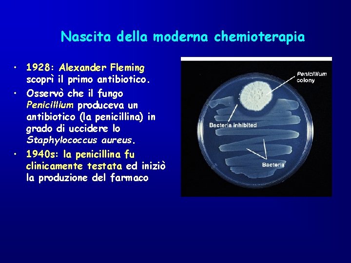 Nascita della moderna chemioterapia • 1928: Alexander Fleming scoprì il primo antibiotico. • Osservò