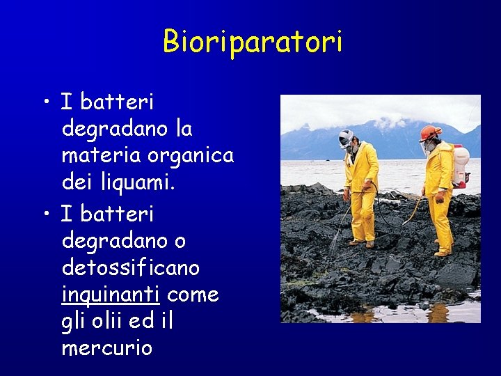 Bioriparatori • I batteri degradano la materia organica dei liquami. • I batteri degradano