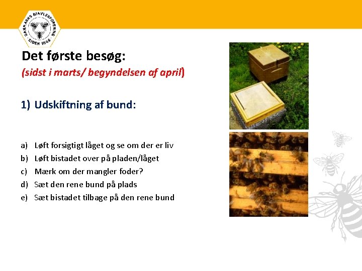 Det første besøg: (sidst i marts/ begyndelsen af april) 1) Udskiftning af bund: a)