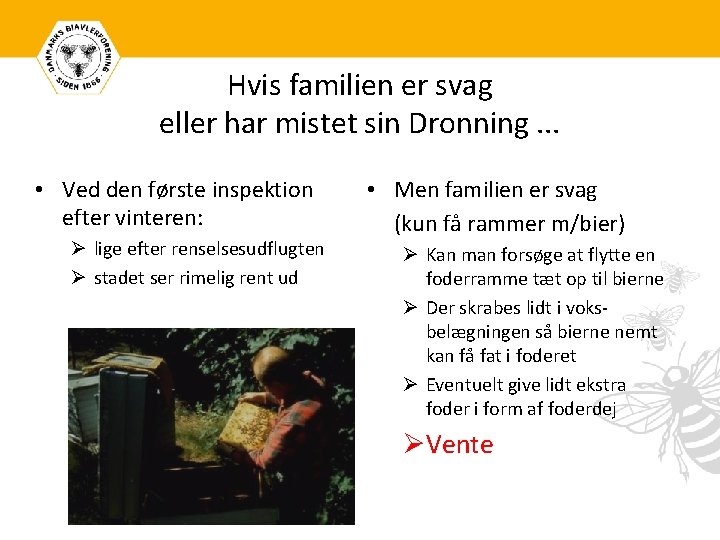 Hvis familien er svag eller har mistet sin Dronning. . . • Ved den