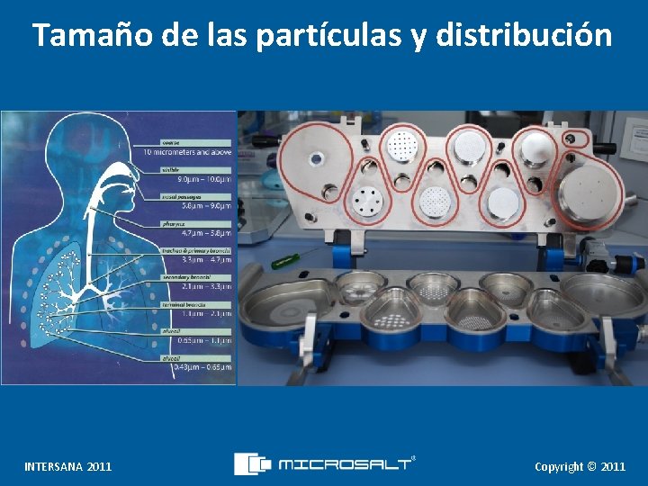 Tamaño de las partículas y distribución INTERSANA 2011 Copyright © 2011 