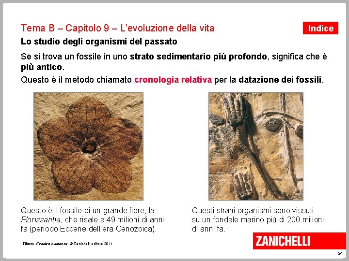 Tema B – Capitolo 9 – L’evoluzione della vita Indice Lo studio degli organismi