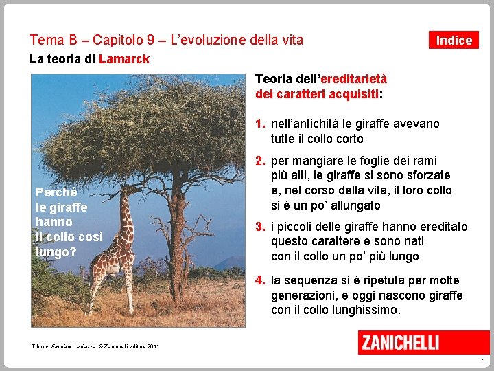 Tema B – Capitolo 9 – L’evoluzione della vita Indice La teoria di Lamarck