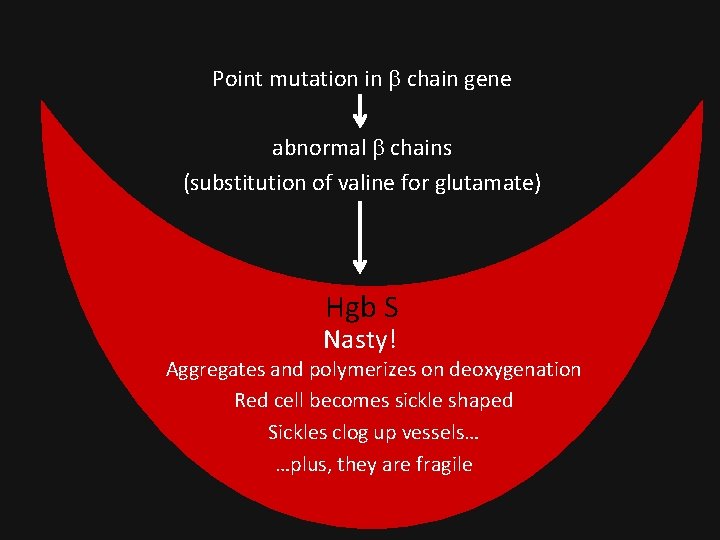 Point mutation in chain gene abnormal chains (substitution of valine for glutamate) Hgb S