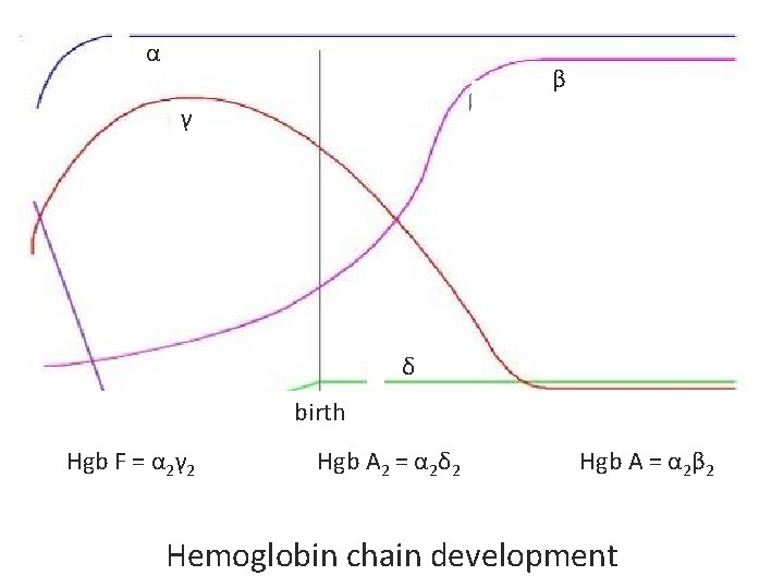 α β γ δ birth Hgb F = α 2γ 2 Hgb A 2