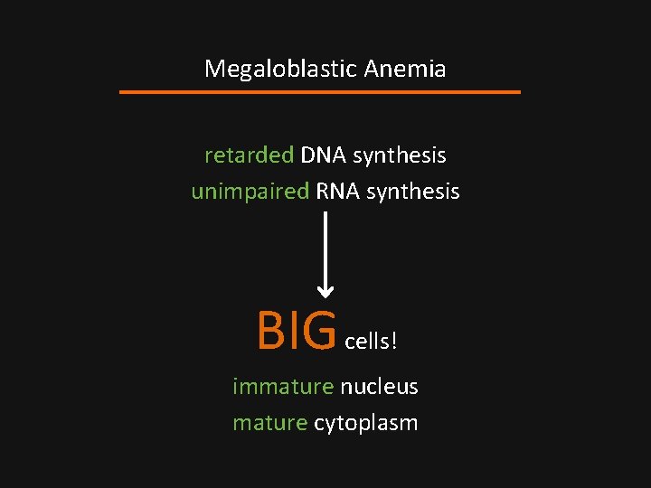 Megaloblastic Anemia retarded DNA synthesis unimpaired RNA synthesis BIG cells! immature nucleus mature cytoplasm