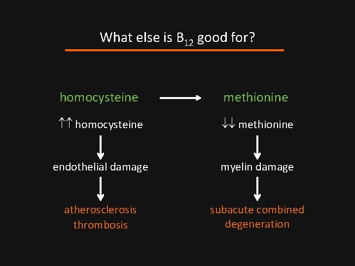 What else is B 12 good for? homocysteine methionine endothelial damage myelin damage atherosclerosis