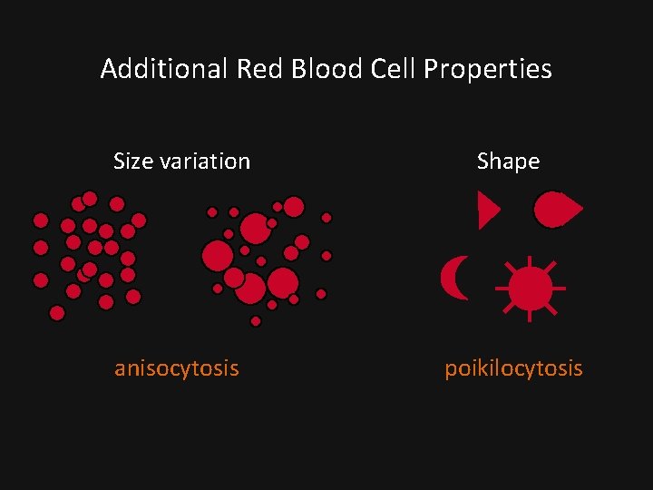 Additional Red Blood Cell Properties Size variation Shape anisocytosis poikilocytosis 
