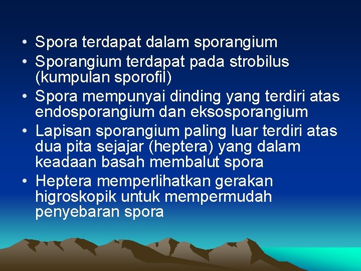 • Spora terdapat dalam sporangium • Sporangium terdapat pada strobilus (kumpulan sporofil) •  • Spora terdapat dalam sporangium • Sporangium terdapat pada strobilus (kumpulan sporofil) •