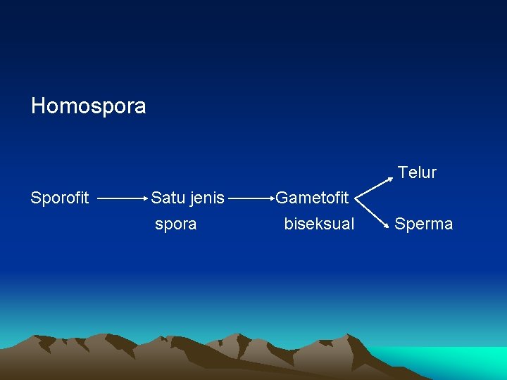 Homospora Telur Sporofit Satu jenis Gametofit spora biseksual Sperma  Homospora Telur Sporofit Satu jenis Gametofit spora biseksual Sperma