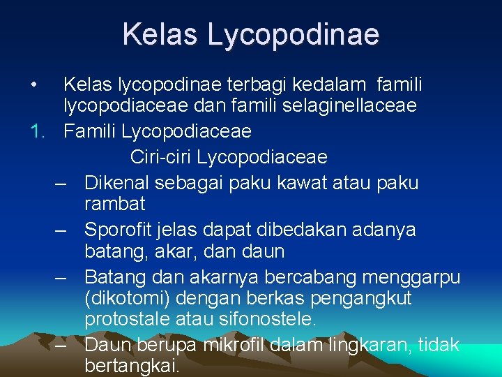 Kelas Lycopodinae • Kelas lycopodinae terbagi kedalam famili lycopodiaceae dan famili selaginellaceae 1. Famili Kelas Lycopodinae • Kelas lycopodinae terbagi kedalam famili lycopodiaceae dan famili selaginellaceae 1. Famili