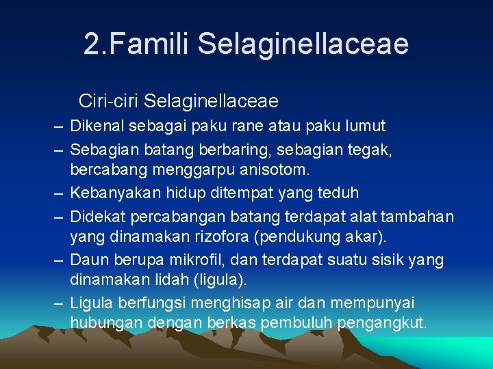 2. Famili Selaginellaceae Ciri-ciri Selaginellaceae – Dikenal sebagai paku rane atau paku lumut – 2. Famili Selaginellaceae Ciri-ciri Selaginellaceae – Dikenal sebagai paku rane atau paku lumut –