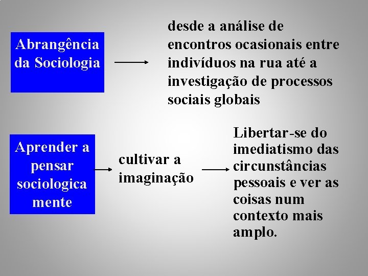 Abrangência da Sociologia Aprender a pensar sociologica mente desde a análise de encontros ocasionais