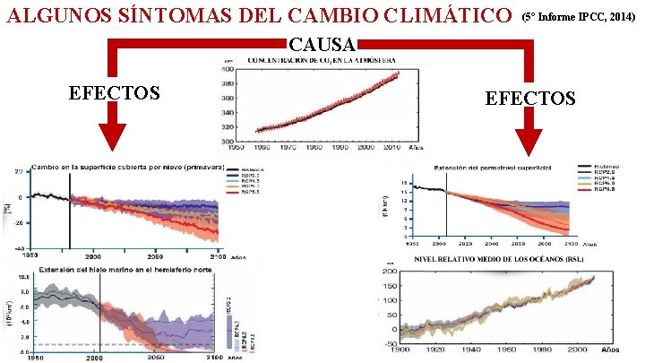 ALGUNOS SÍNTOMAS DEL CAMBIO CLIMÁTICO (5° Informe IPCC, 2014) CAUSA EFECTOS 