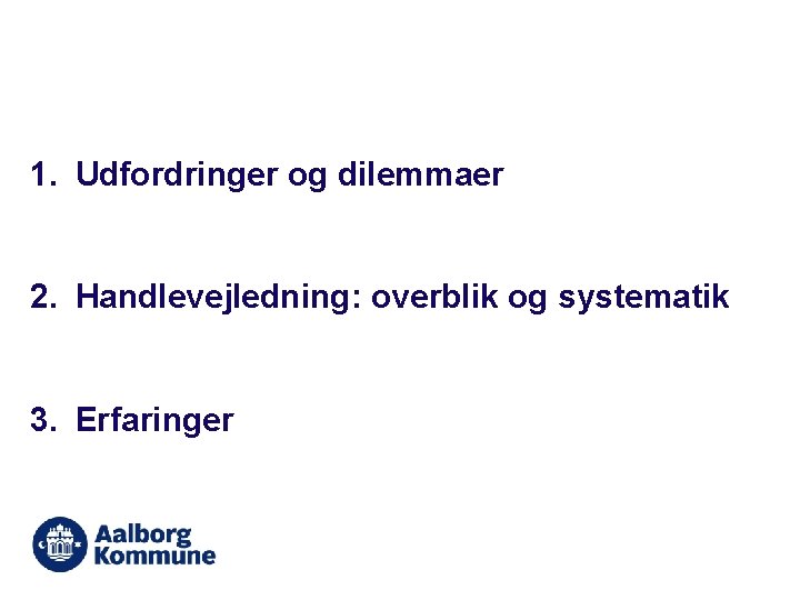 1. Udfordringer og dilemmaer 2. Handlevejledning: overblik og systematik 3. Erfaringer 