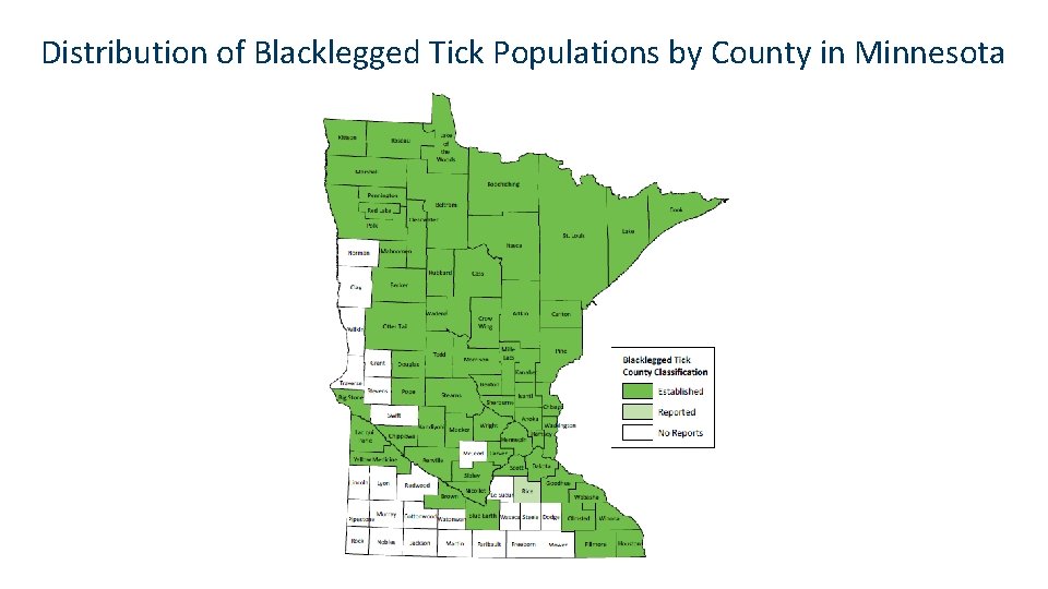 Distribution of Blacklegged Tick Populations by County in Minnesota 