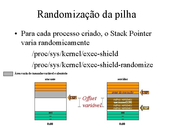 Randomização da pilha • Para cada processo criado, o Stack Pointer varia randomicamente /proc/sys/kernel/exec-shield-randomize