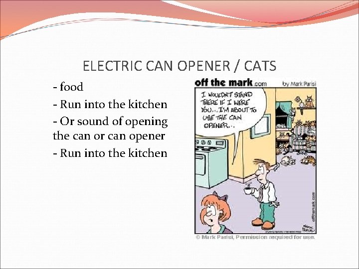 ELECTRIC CAN OPENER / CATS - food - Run into the kitchen - Or