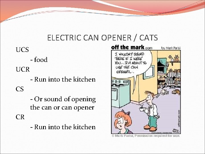 ELECTRIC CAN OPENER / CATS UCS - food UCR - Run into the kitchen