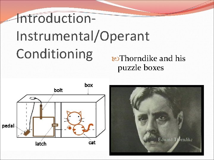 Introduction. Instrumental/Operant Conditioning Thorndike and his puzzle boxes 