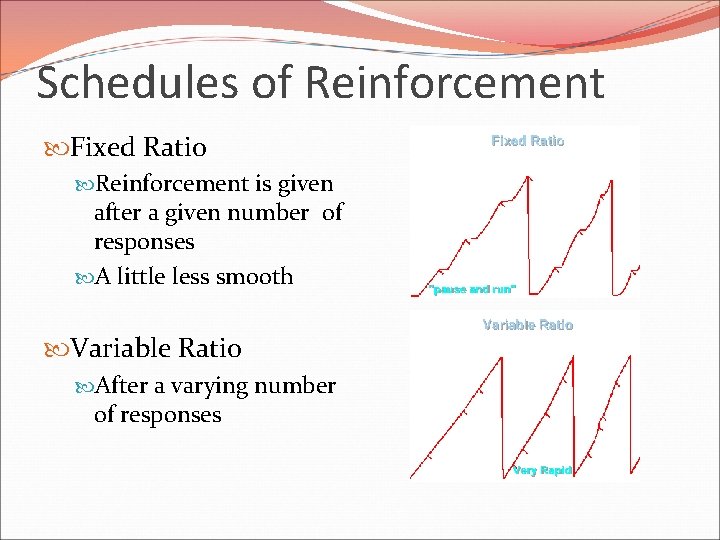 Schedules of Reinforcement Fixed Ratio Reinforcement is given after a given number of responses