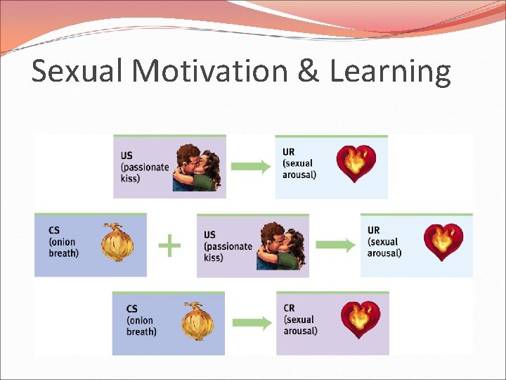Sexual Motivation & Learning 