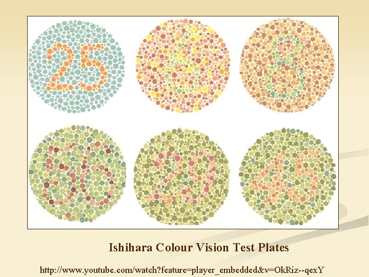 Ishihara Colour Vision Test Plates http: //www. youtube. com/watch? feature=player_embedded&v=Ok. Riz--qex. Y 