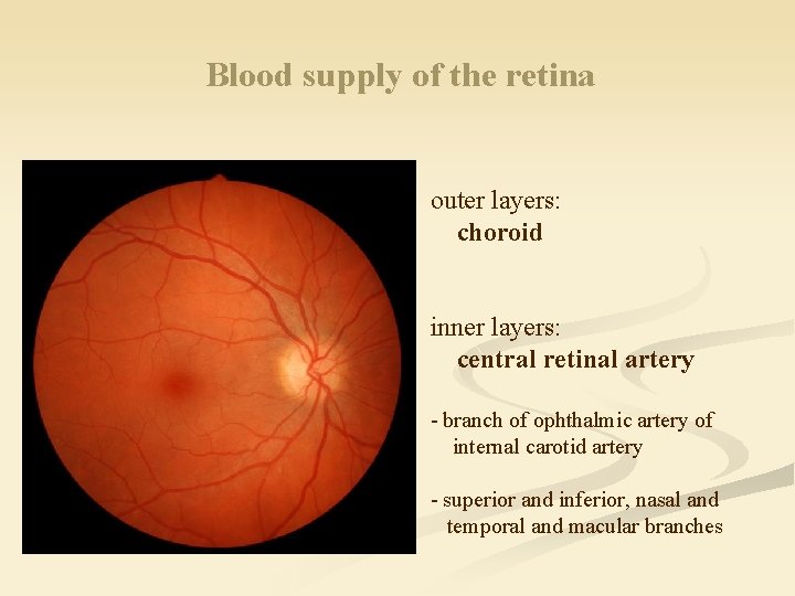 Blood supply of the retina outer layers: choroid inner layers: central retinal artery -