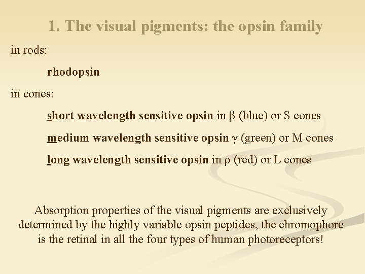 1. The visual pigments: the opsin family in rods: rhodopsin in cones: short wavelength