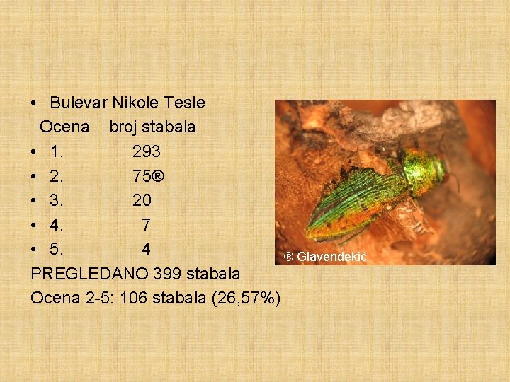  • Bulevar Nikole Tesle Ocena broj stabala • 1. 293 • 2. 75®