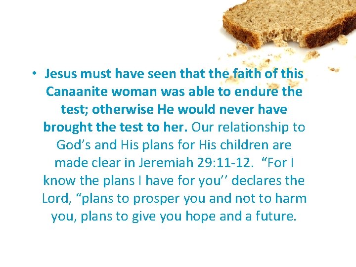  • Jesus must have seen that the faith of this Canaanite woman was